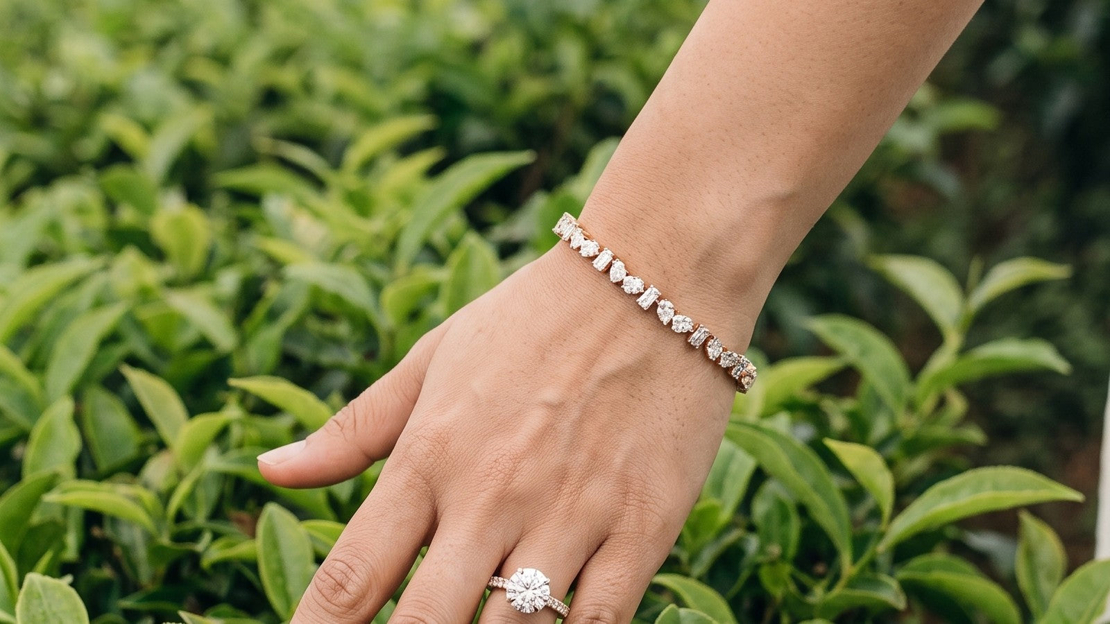 A diamond bracelet and solitaire ring on a hand reaching over tea leaves