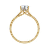 Amara | Round-Cut Lab Grown Diamond with Round Sidestones